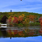 Lions Club Fall Foliage